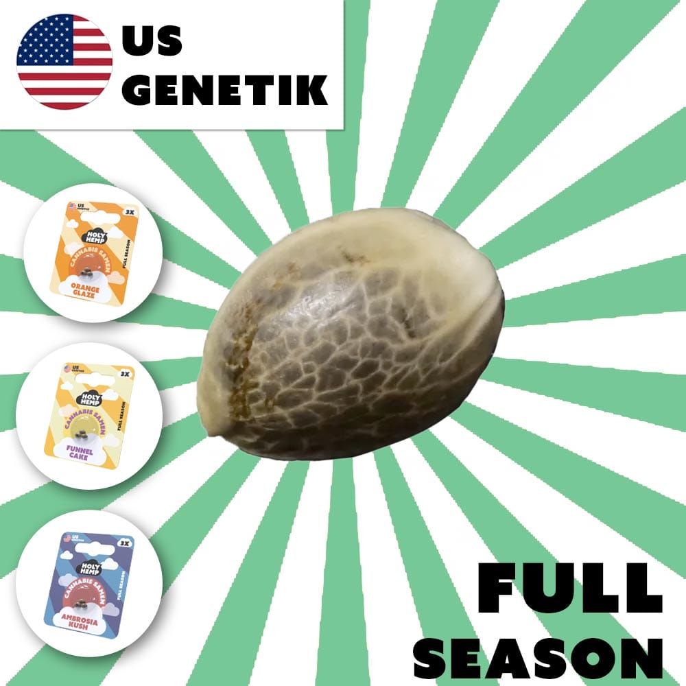 Full Season Cannabis Samen (THC) – US Genetics