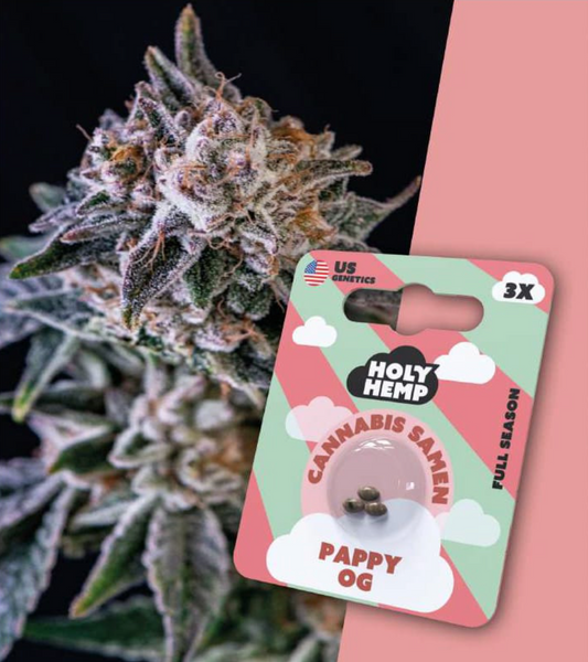 Holy Hemp Pappy OG  3er - Cannabis Samen (THC)- Full Season