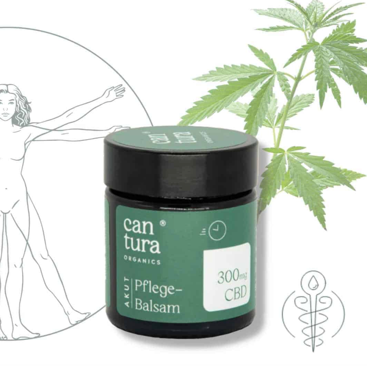 Cantura Akut CBD Pflege Balsam 300mg CBD - 25g