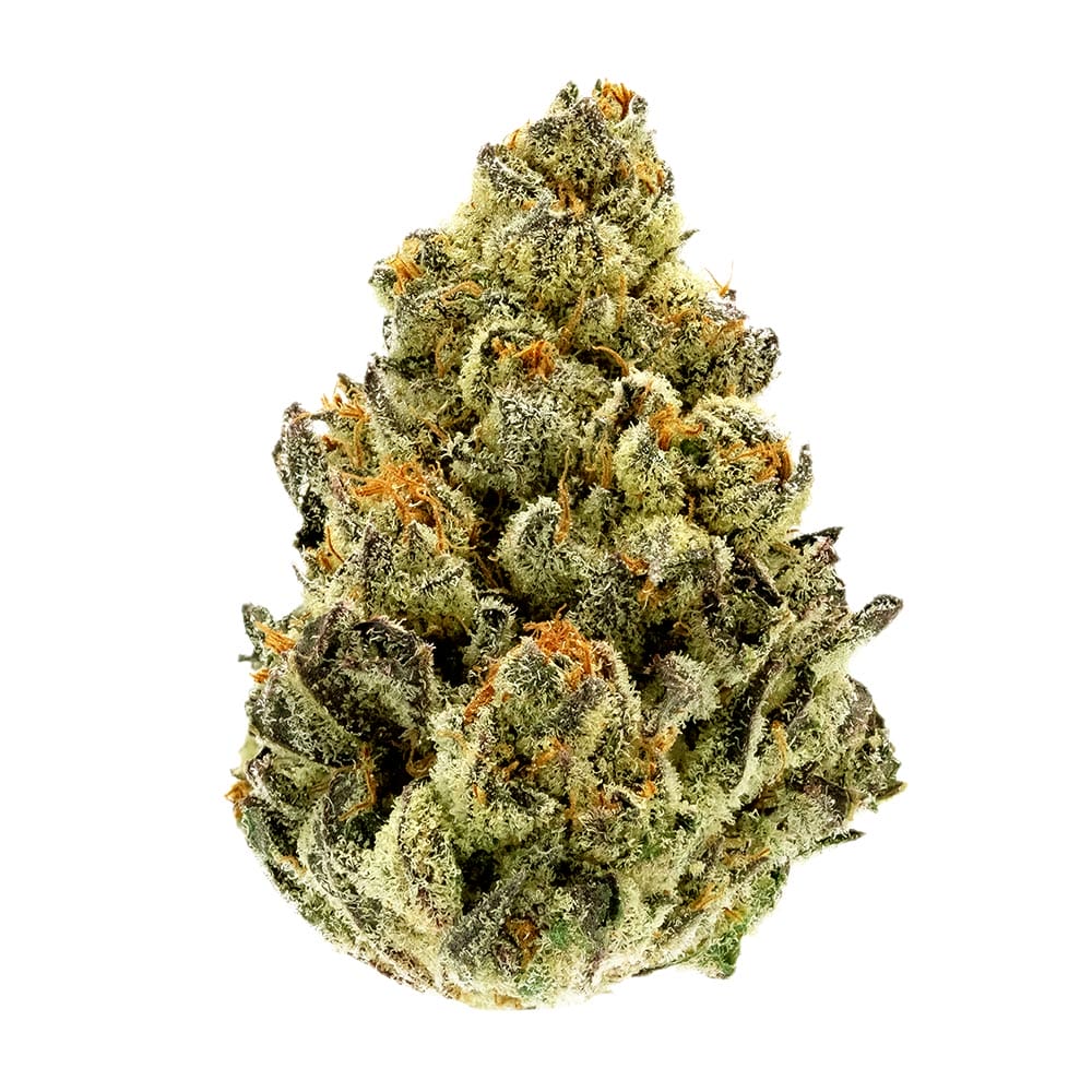 Cannabis ist Blüte aus CBD