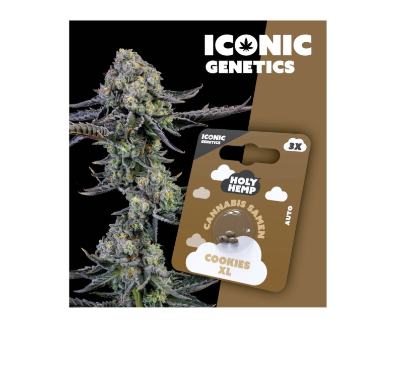 Auto-Flowering Cannabis Samen (THC) - Iconic Genetics Cookies XL