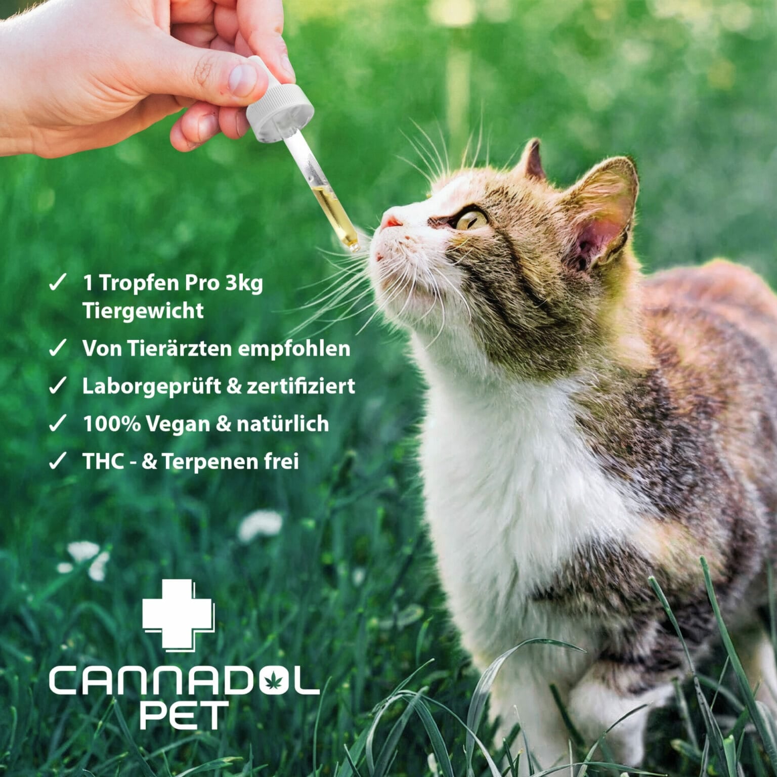 Vorteile Cannadol Pet für Katzen. Vegan, THC und terpenen frei