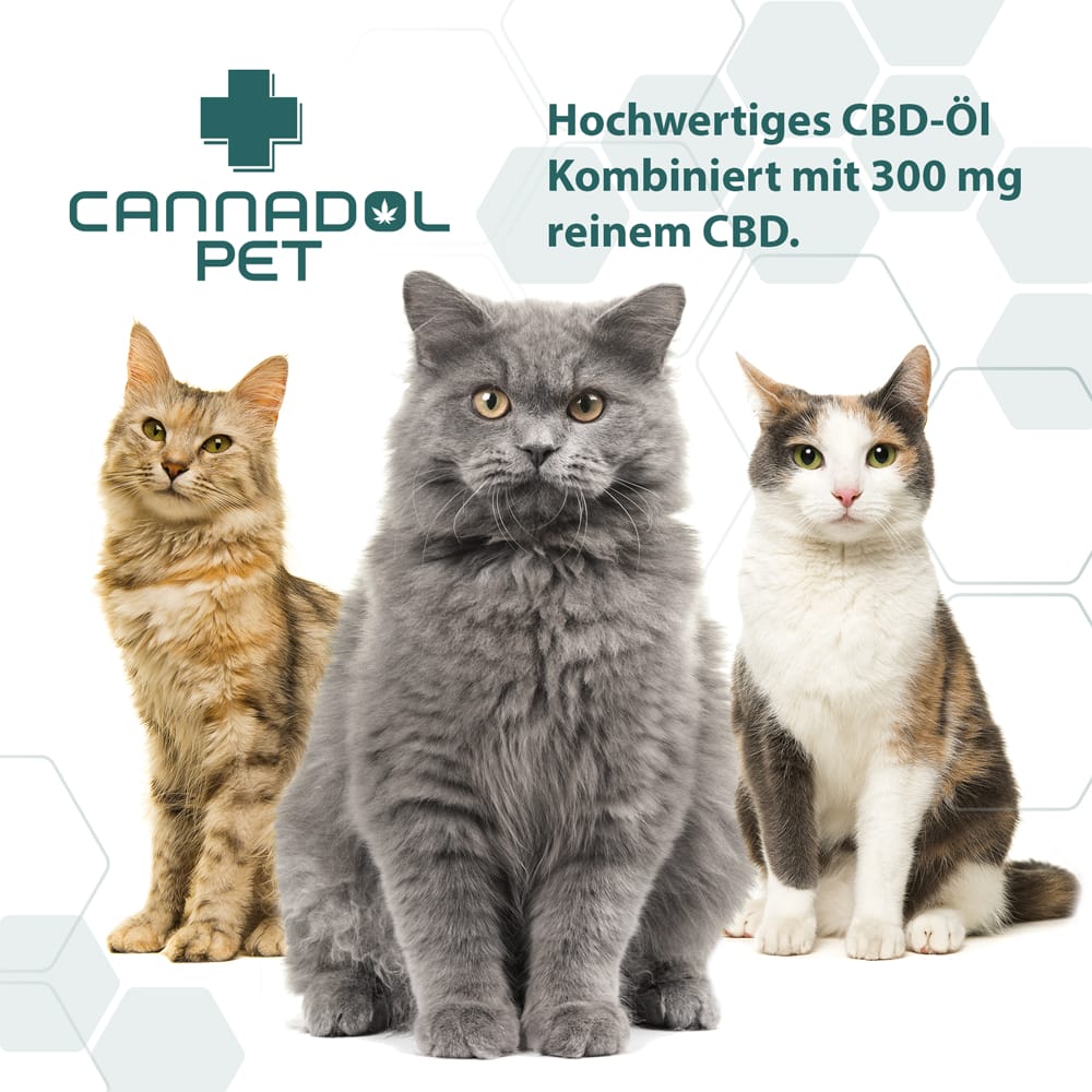 CBD Öl für Tiere, kurze Übersicht