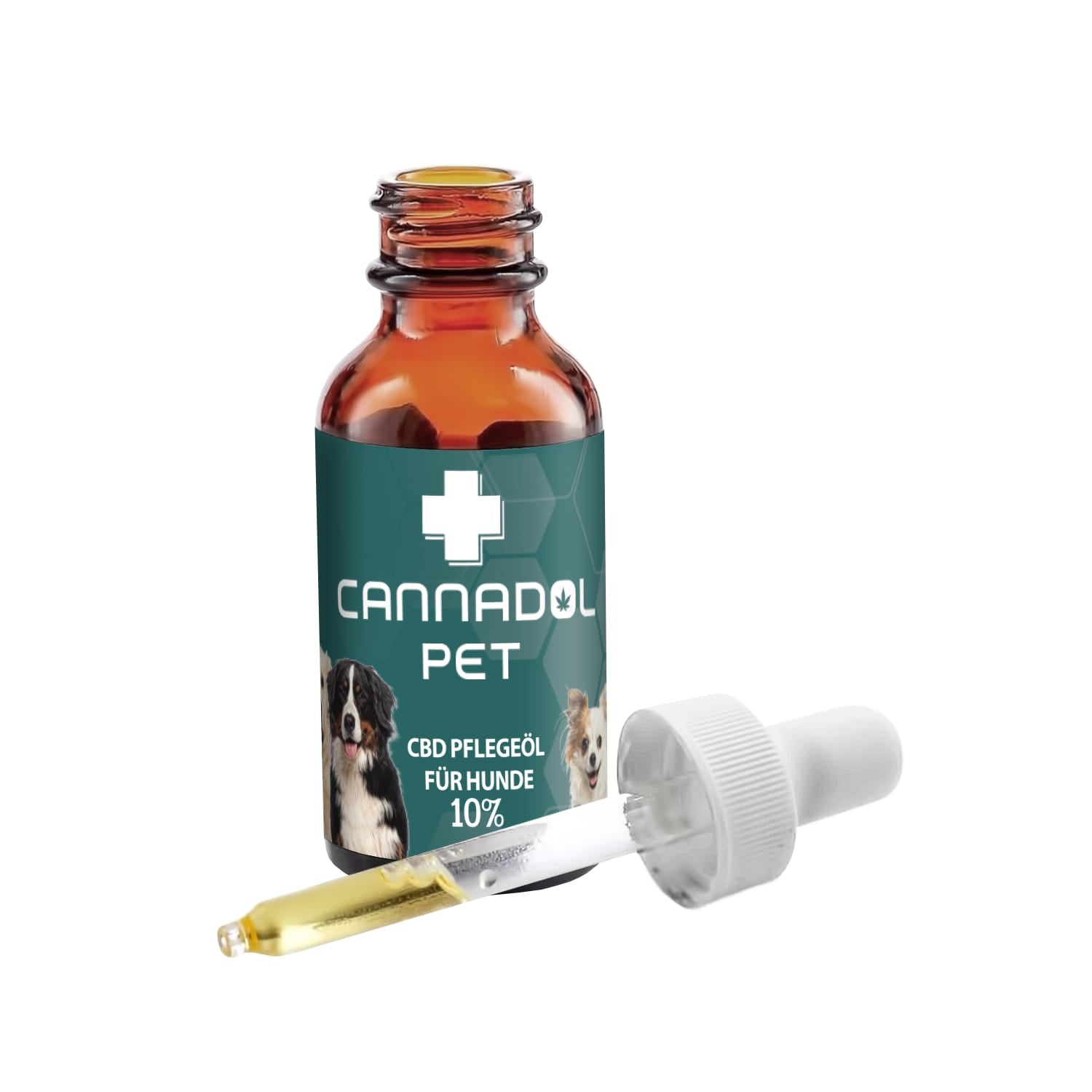 CBD Tropfen für den Hund