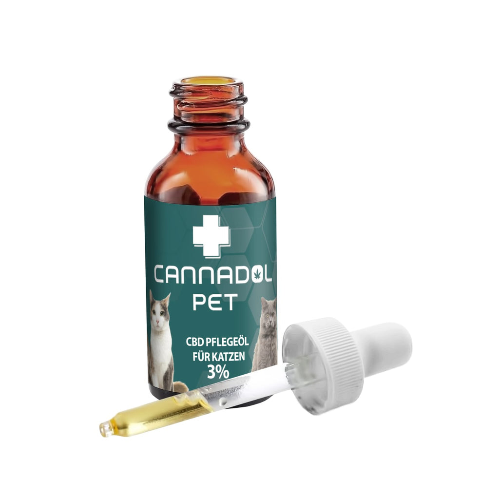 Cannadol CBD Pflegeöl für Katzen. Ideal für das Tierwohl