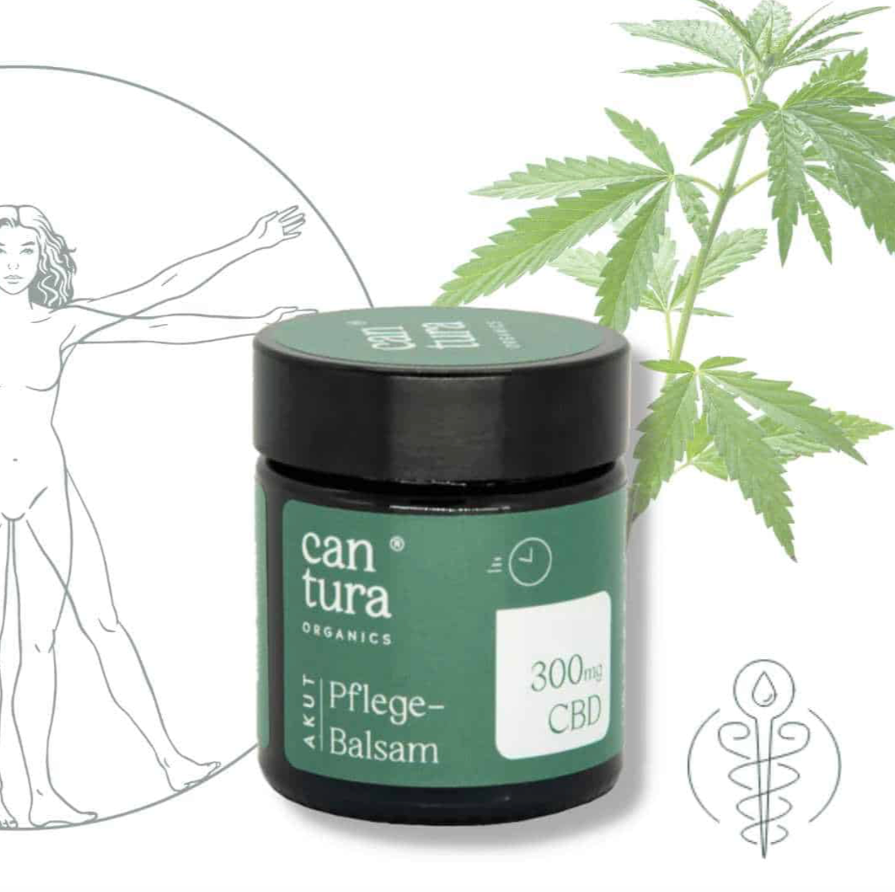 CBD Pflegebalsam für den menschlichen Körper.