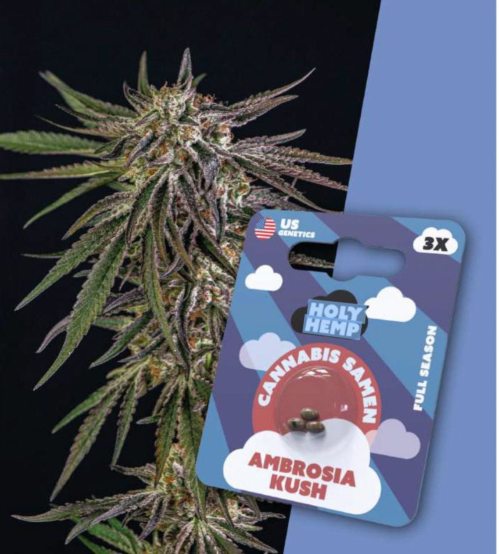 Cannabis Samen,US Genetik.Zum Selbst anbauen