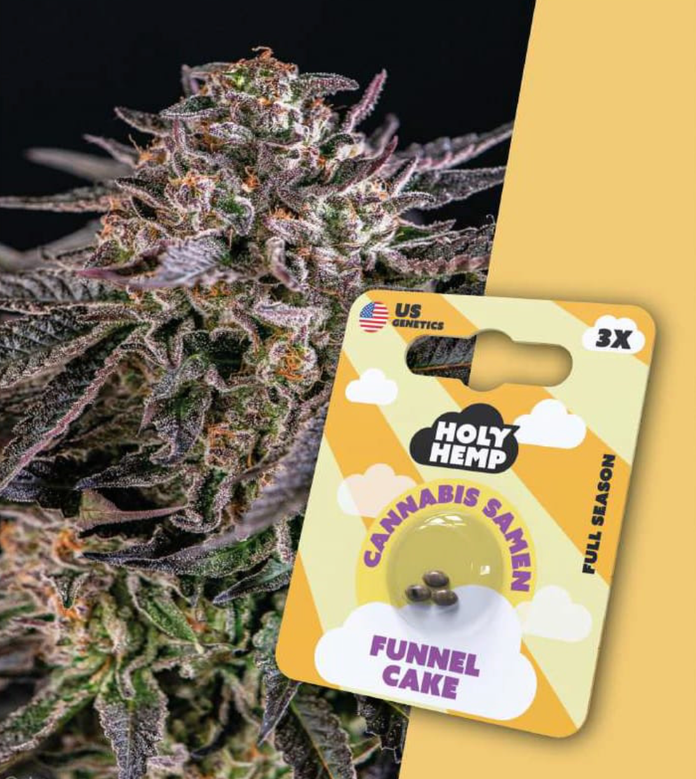 Cannabis Samen Full Season von HolyHemp. Zum Selbst Anbauen