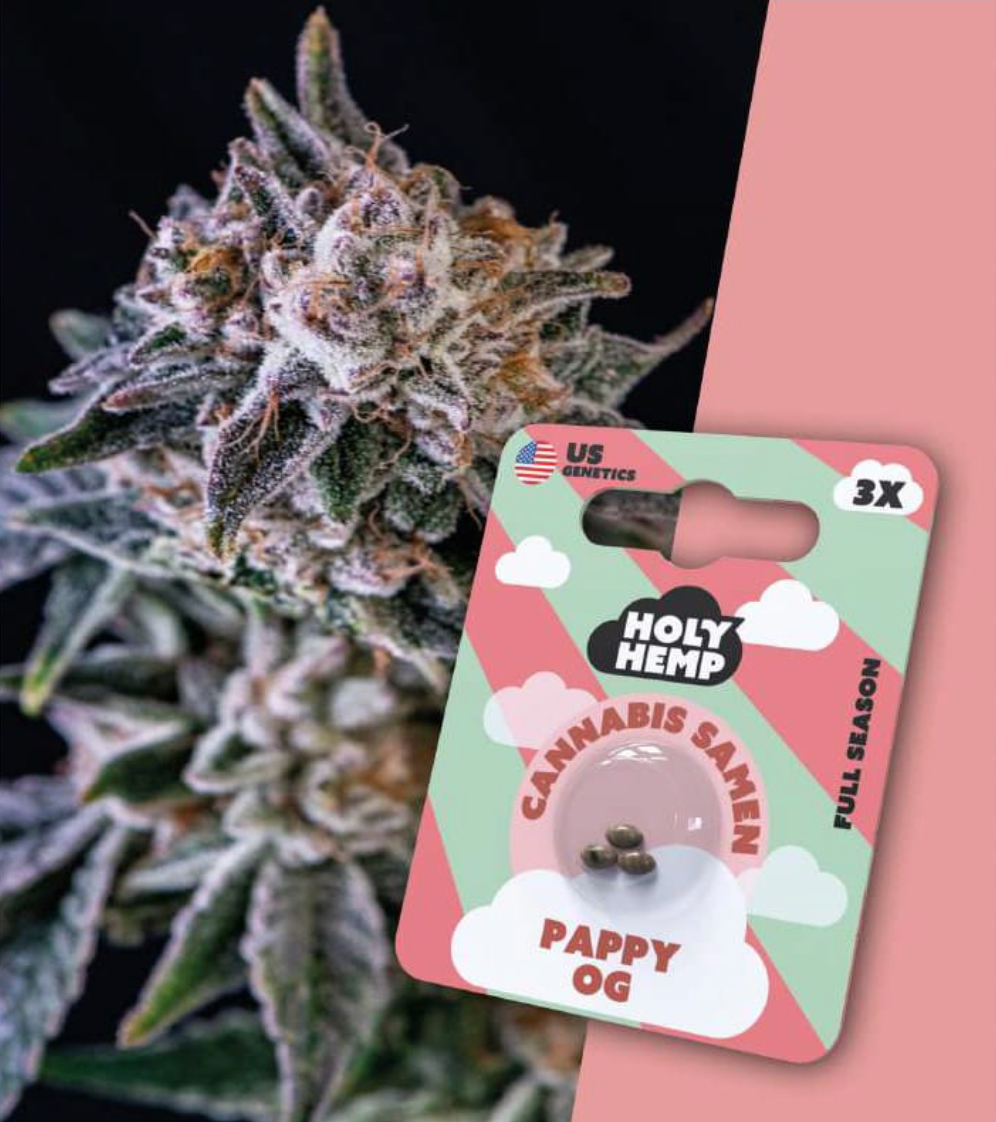 Cannabis Samen von Holy Hemp, Full Season, US Genetics- Pappy OG