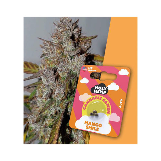 Holy Hemp Mango Smile 3er - Cannabis Samen (THC)- Auto-Flowering