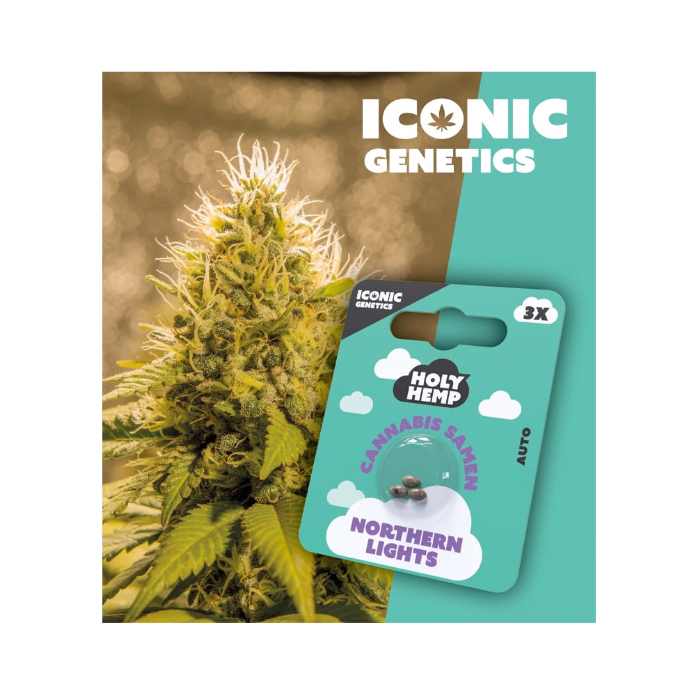 Auto-Flowering Cannabis Samen (THC) - Iconic Genetics Northern Lights